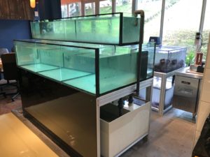 fishtank